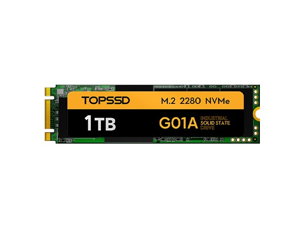 G01A M.2 2280 NVMe 1TB