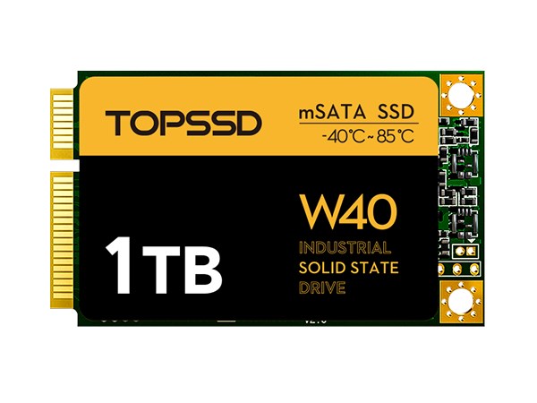 W40 mSATA 1TB