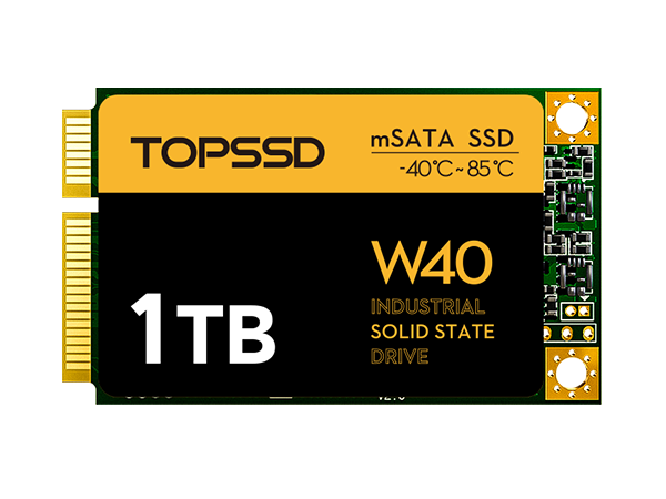 W40 PRO mSATA 512GB